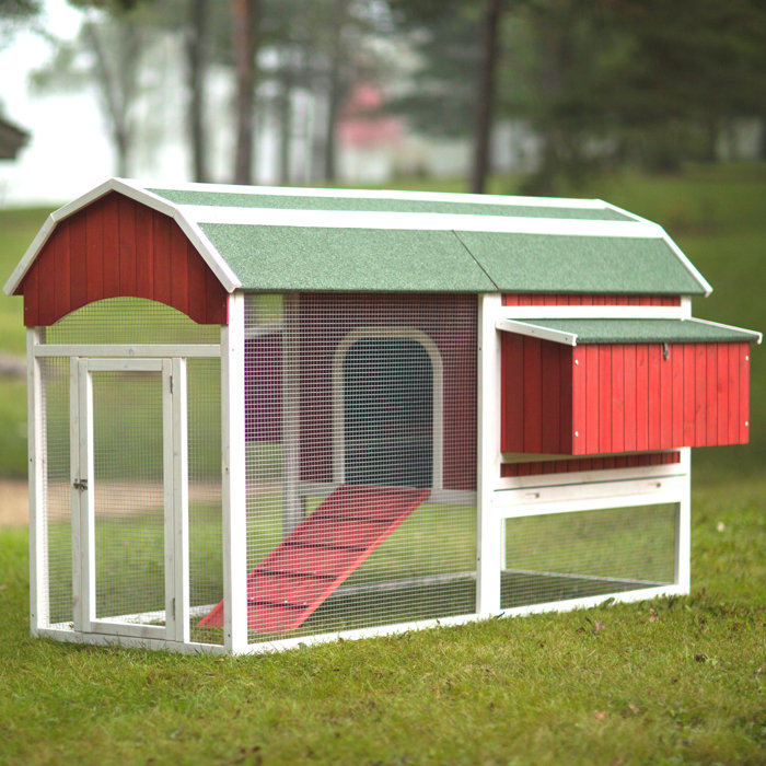 Archie & Oscar Hermione Large Barn Chicken Coop with Chicken Run